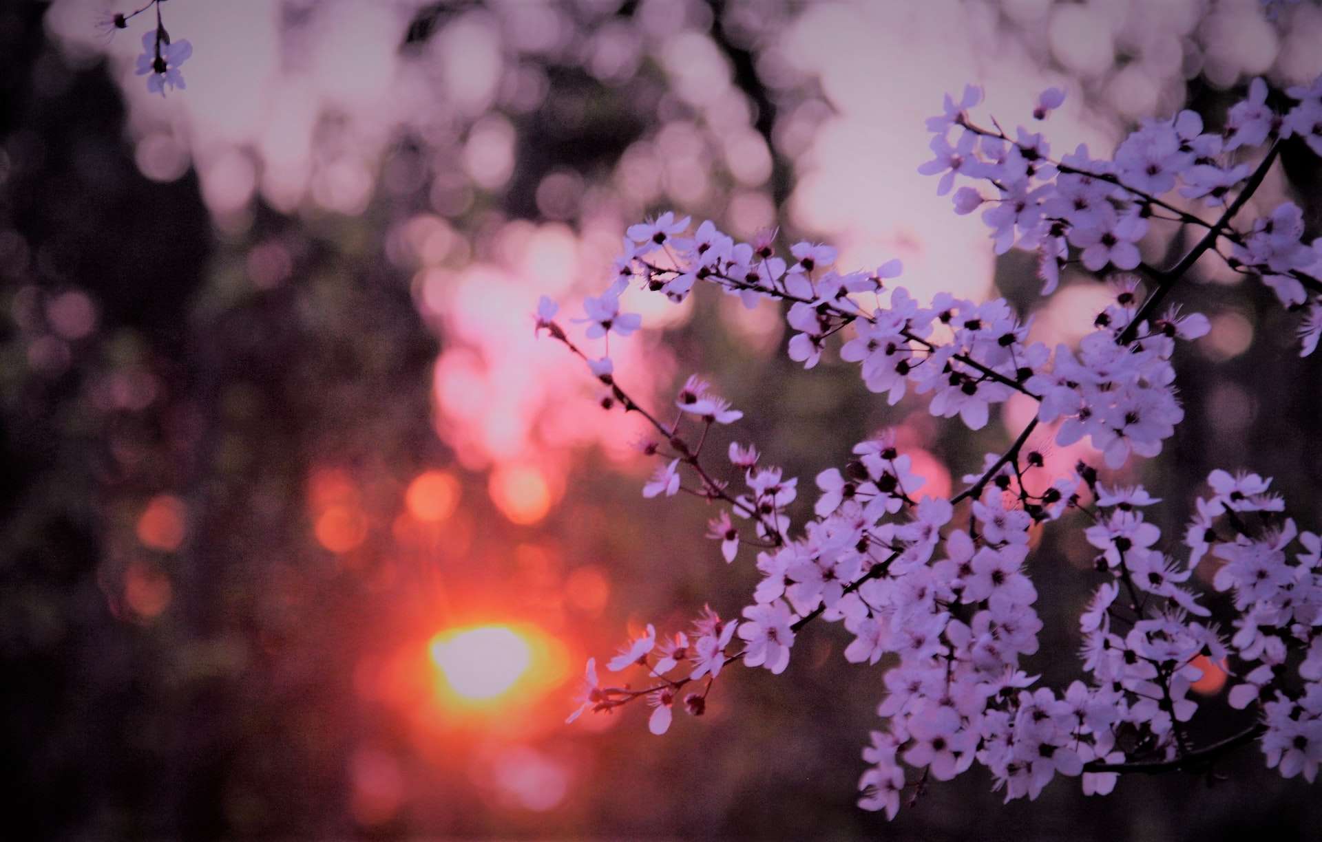 blog-4